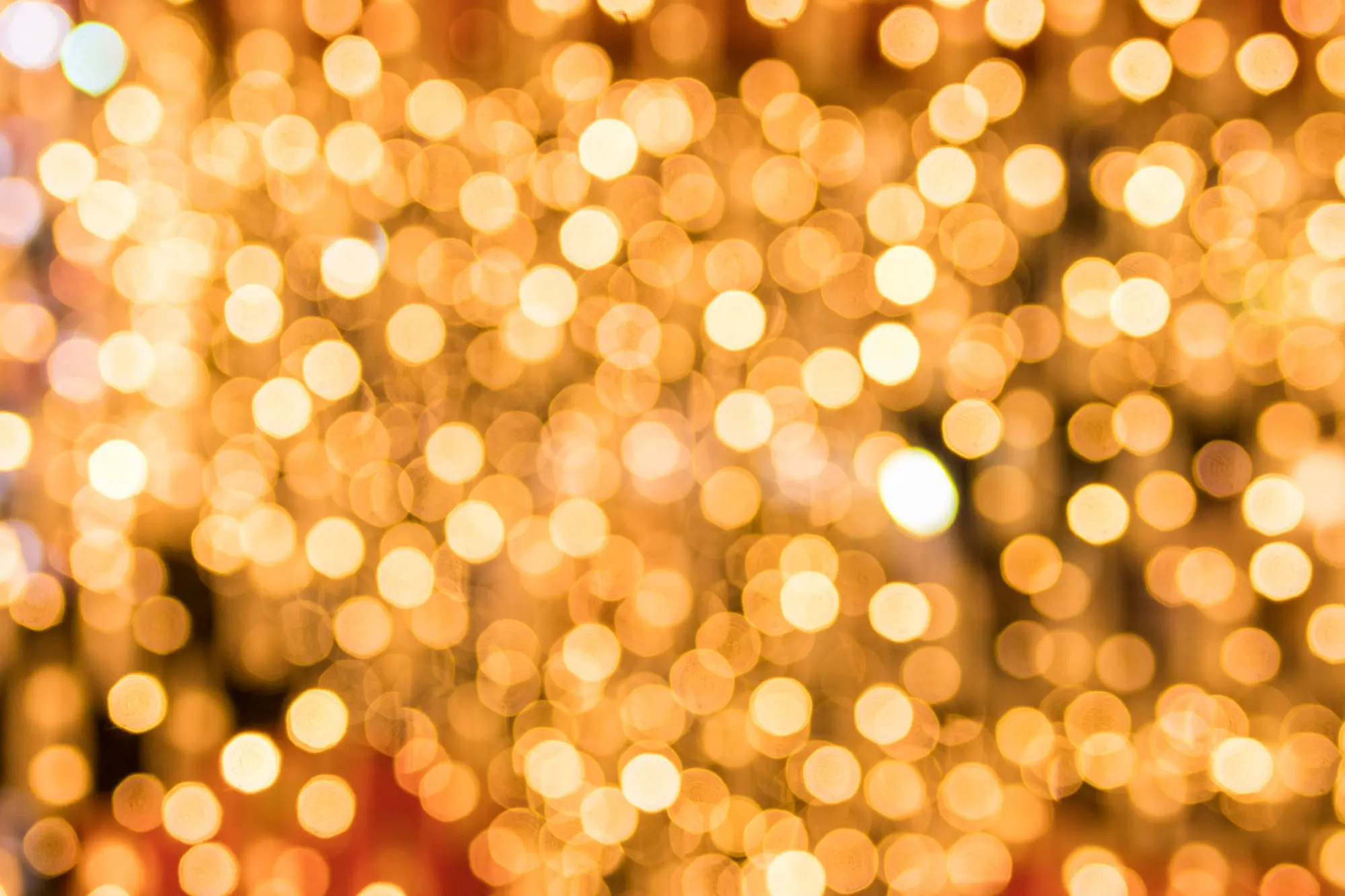 Green and Bright Solutions christmas lights decorations
