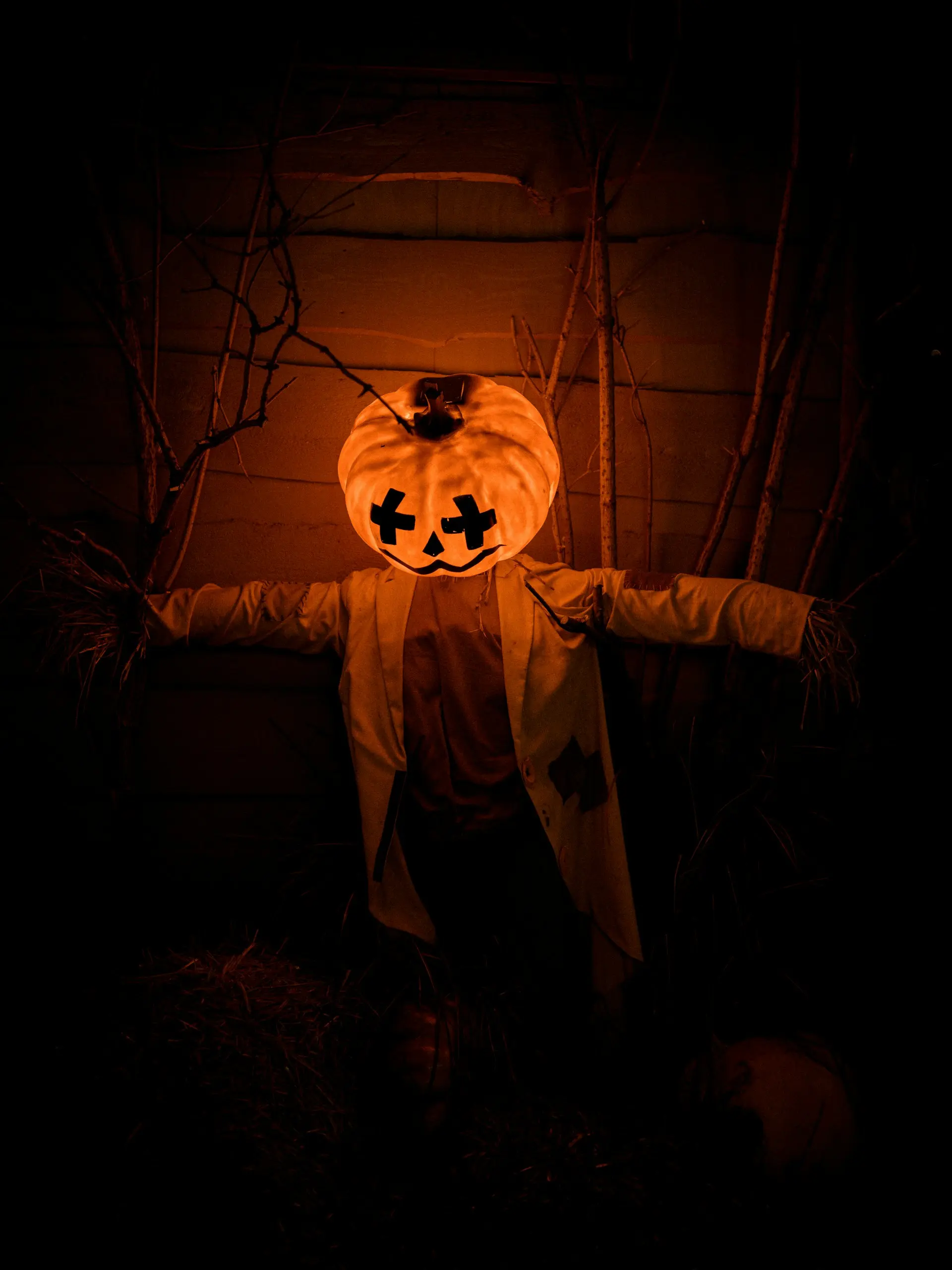 Green and Bright Solutions halloween decorations