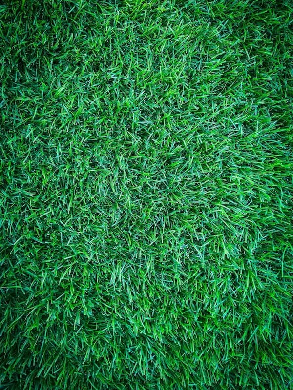 Green & Bright Solutions (Green and Bright Solutions) grass decor
