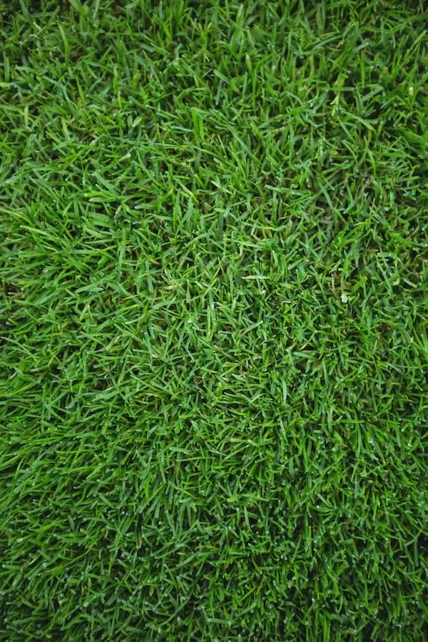 Green & Bright Solutions (Green and Bright Solutions) grass decor