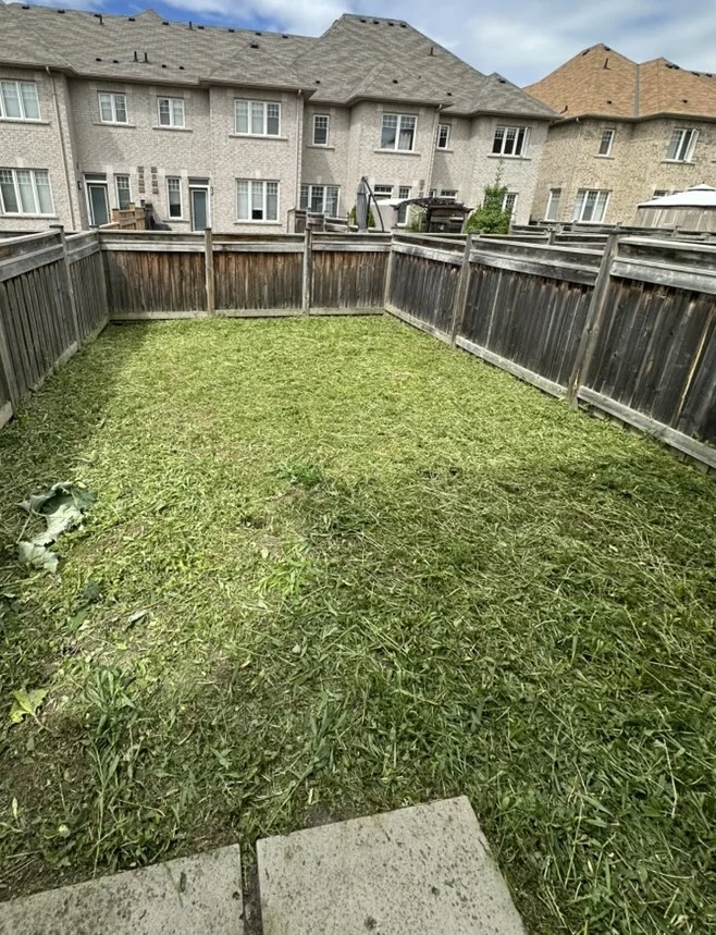 Green & Bright Solutions (Green and Bright Solutions) after lawn care
