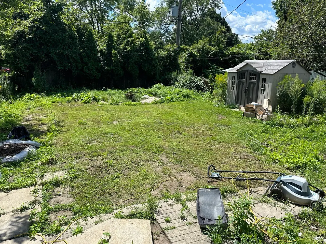 Green & Bright Solutions (Green and Bright Solutions) lawn before overseeding
