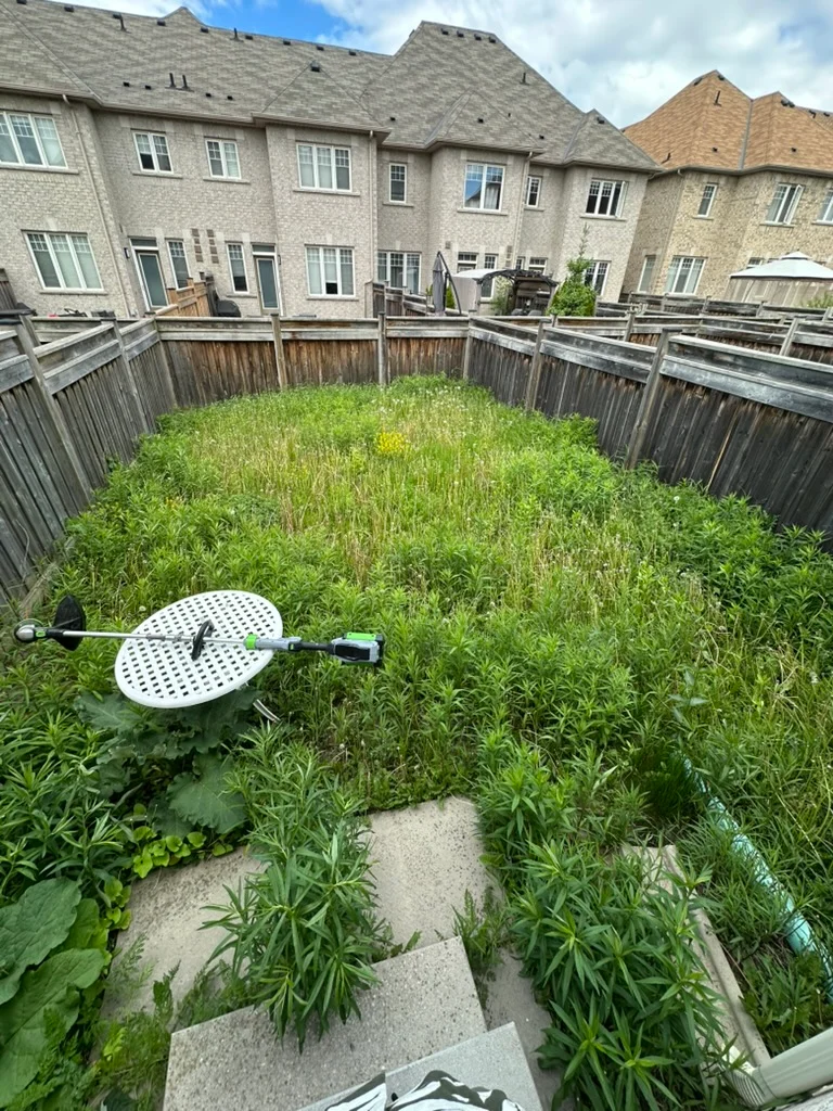 Green & Bright Solutions (Green and Bright Solutions) before lawn care